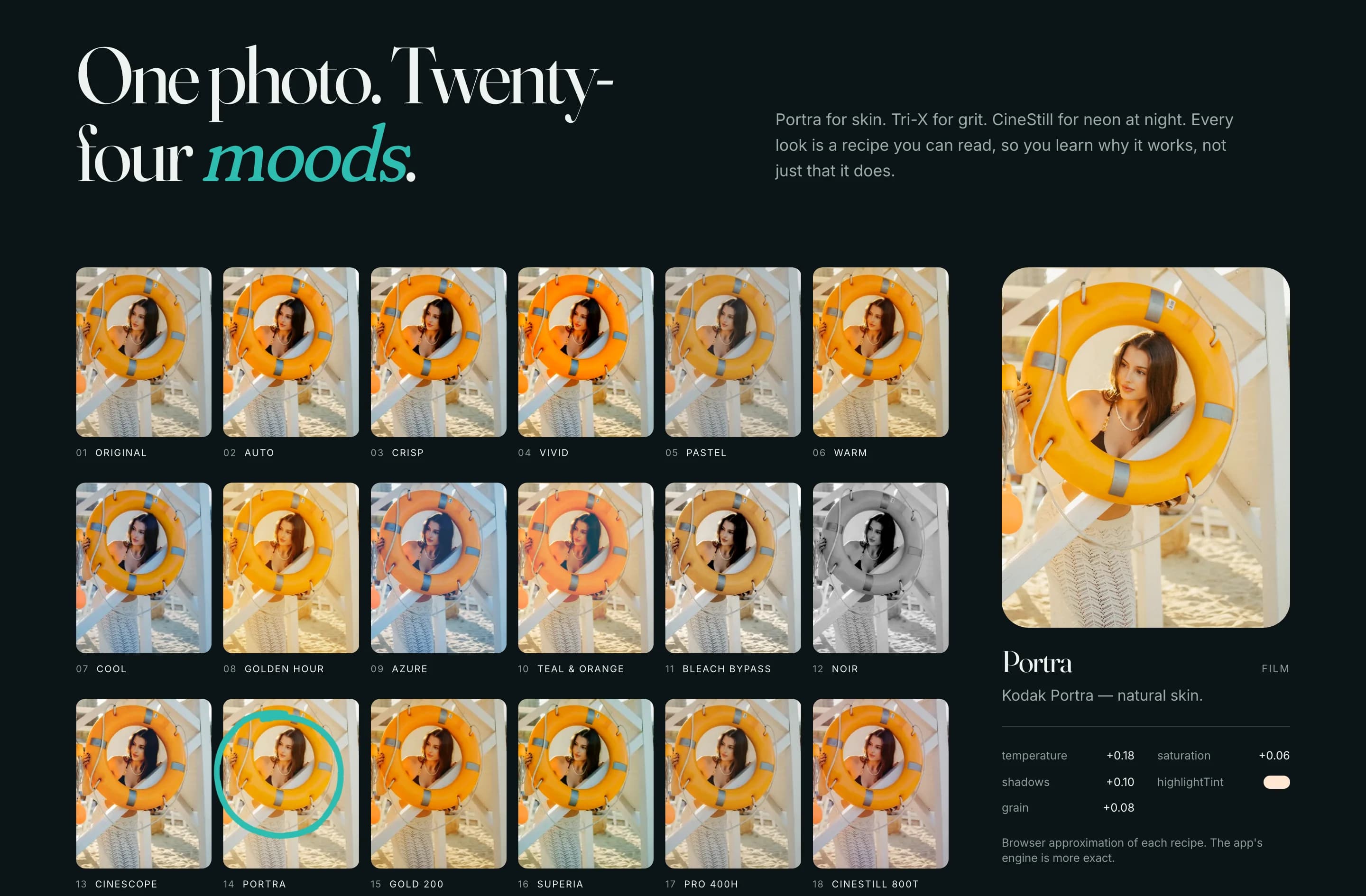 A grid of the same portrait in eighteen film looks, with Kodak Portra selected and its recipe shown.